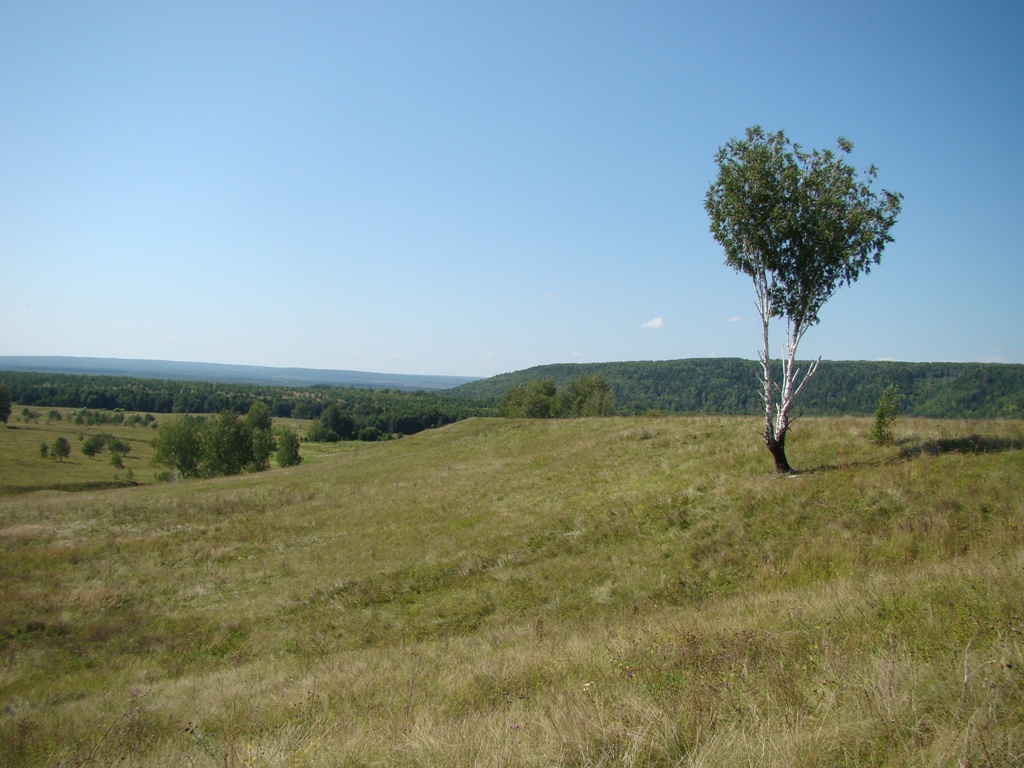 Первомайское, image of landscape/habitat.