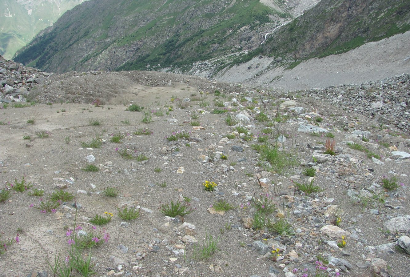 Бассейн реки Адылсу, image of landscape/habitat.