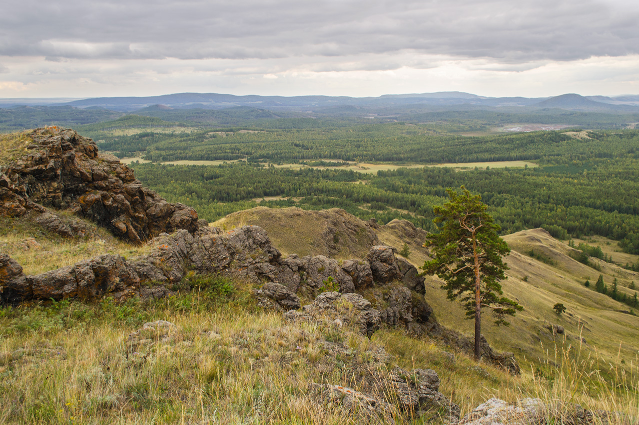 Окрестности деревни Мулдашево, image of landscape/habitat.