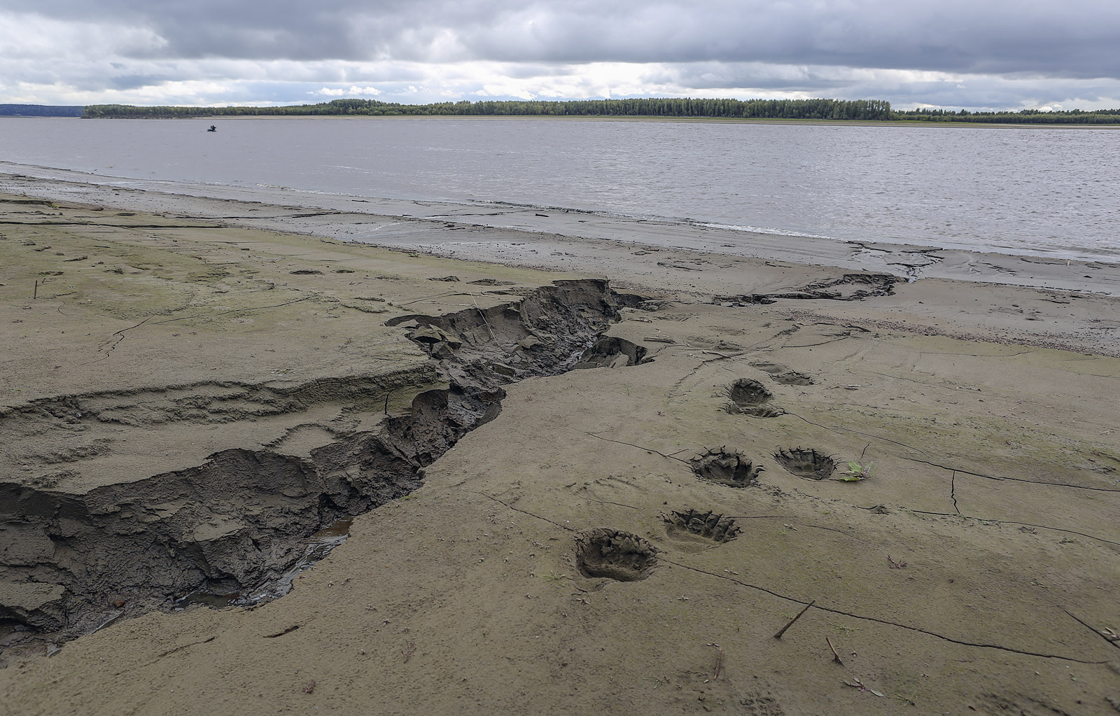 Окрестности Горнореченска, image of landscape/habitat.