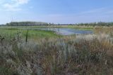 Тройня, image of landscape/habitat.