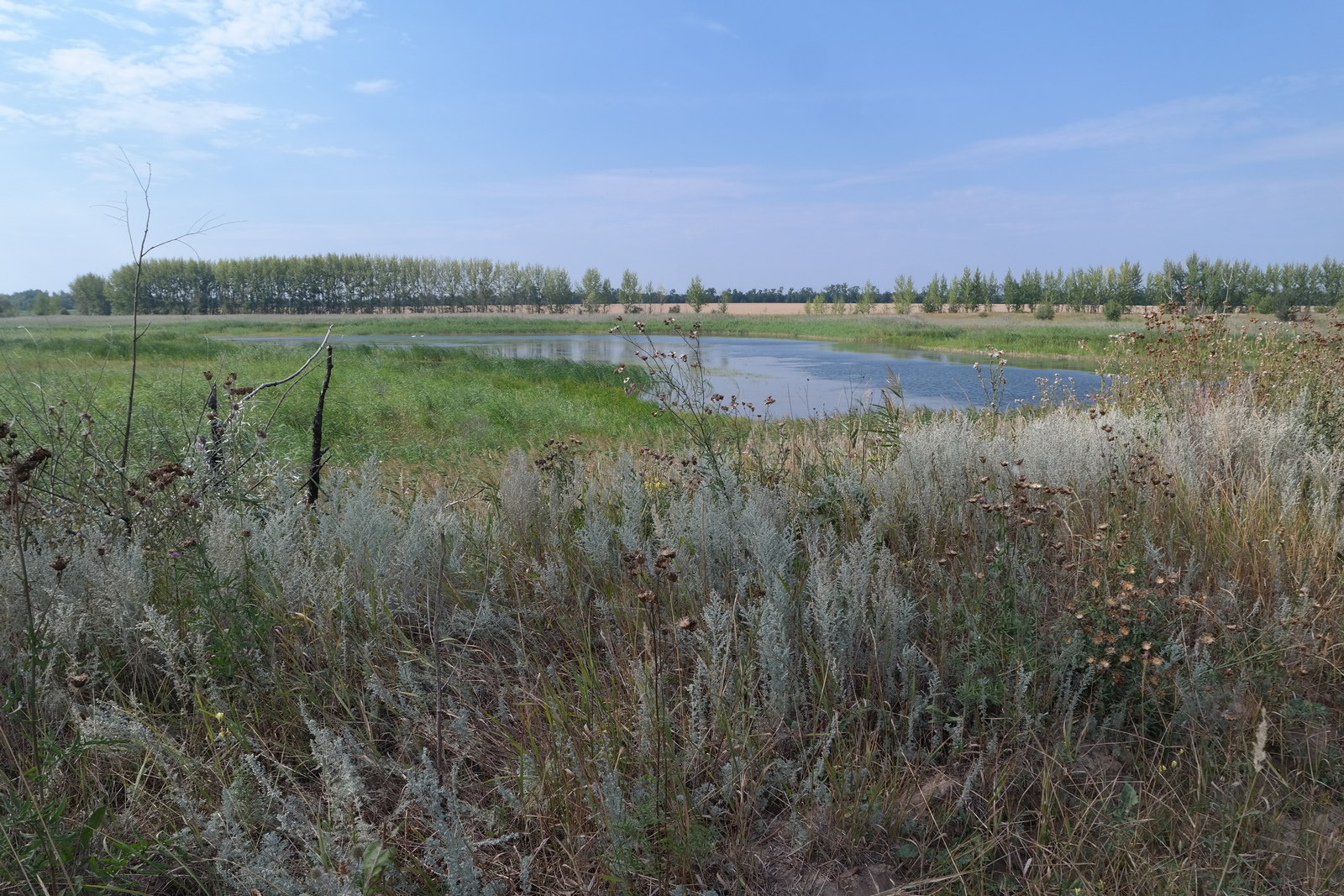Тройня, image of landscape/habitat.