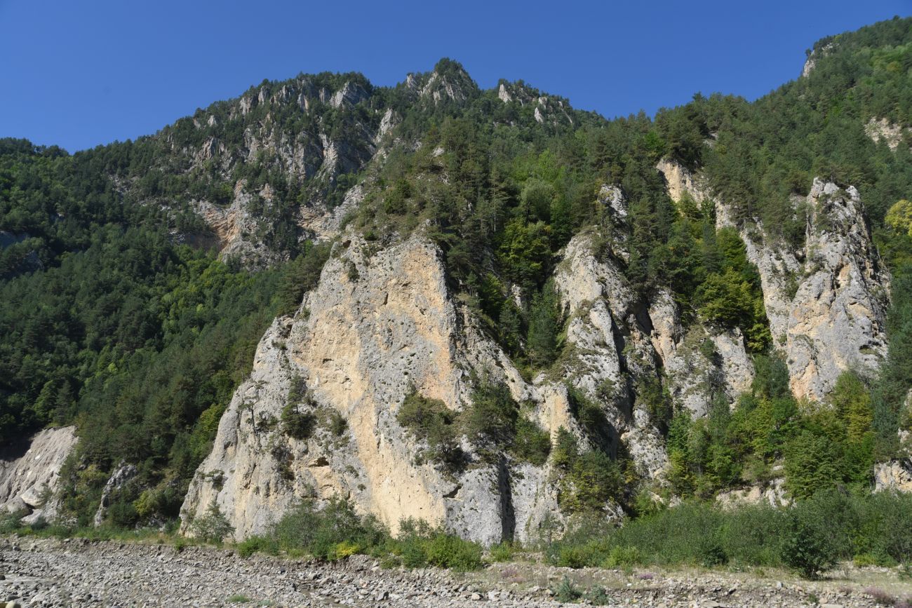 Устье реки Бутти, изображение ландшафта.