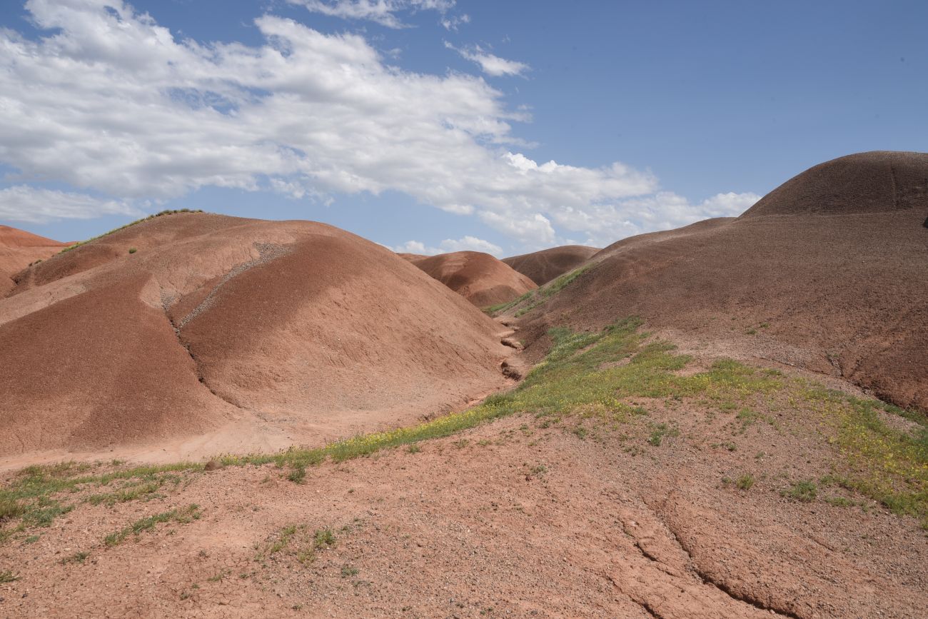 Урочище Кызыл-Кая, image of landscape/habitat.