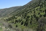 Image of landscape