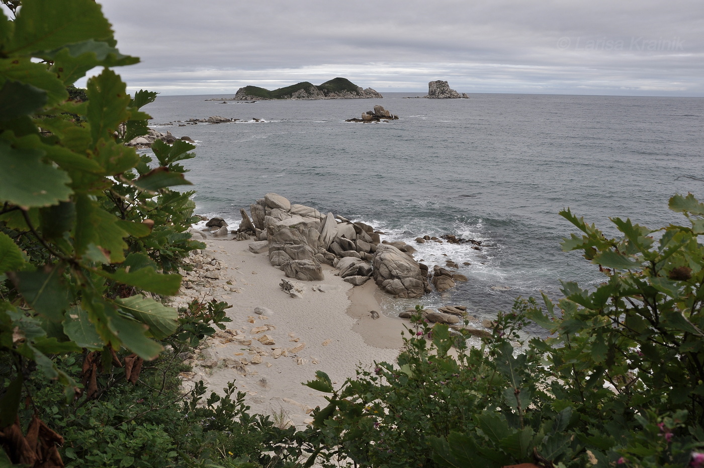 Окрестности бухты Триозерье, image of landscape/habitat.