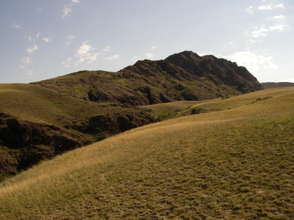 Среднее течение реки Тимерлик, image of landscape/habitat.