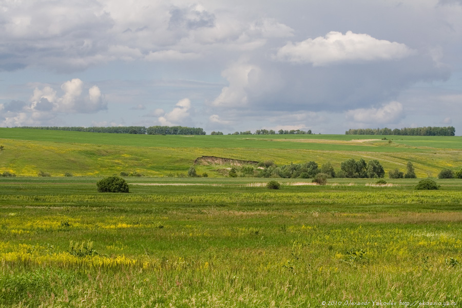 Елховка, image of landscape/habitat.