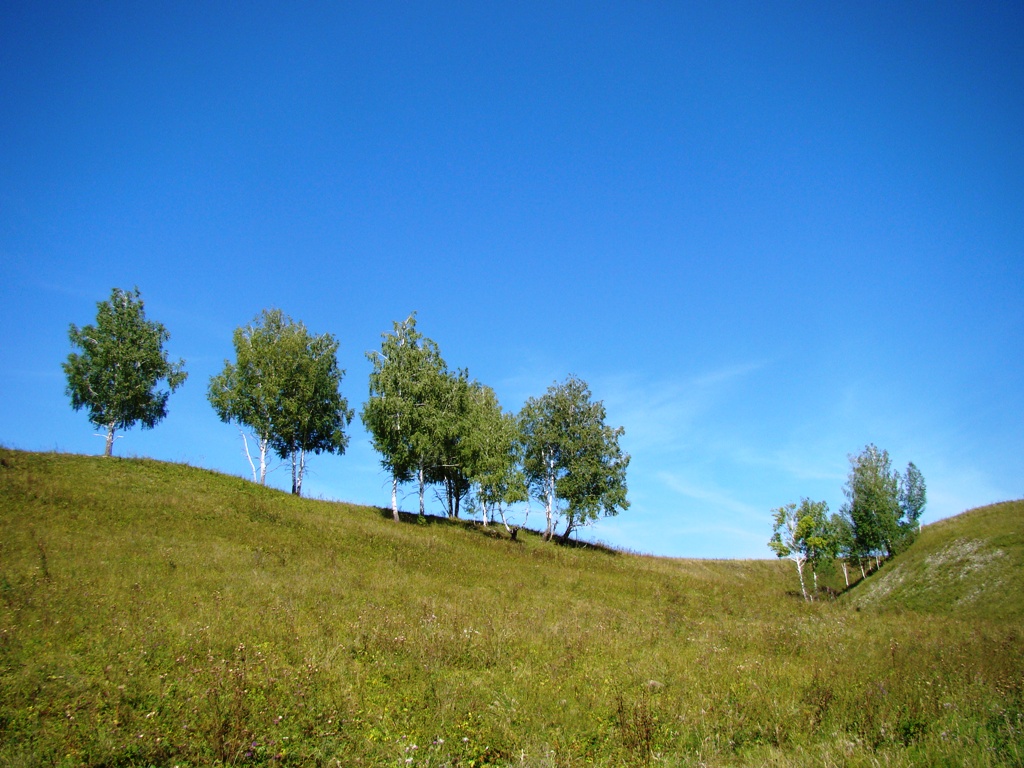 Первомайское, image of landscape/habitat.