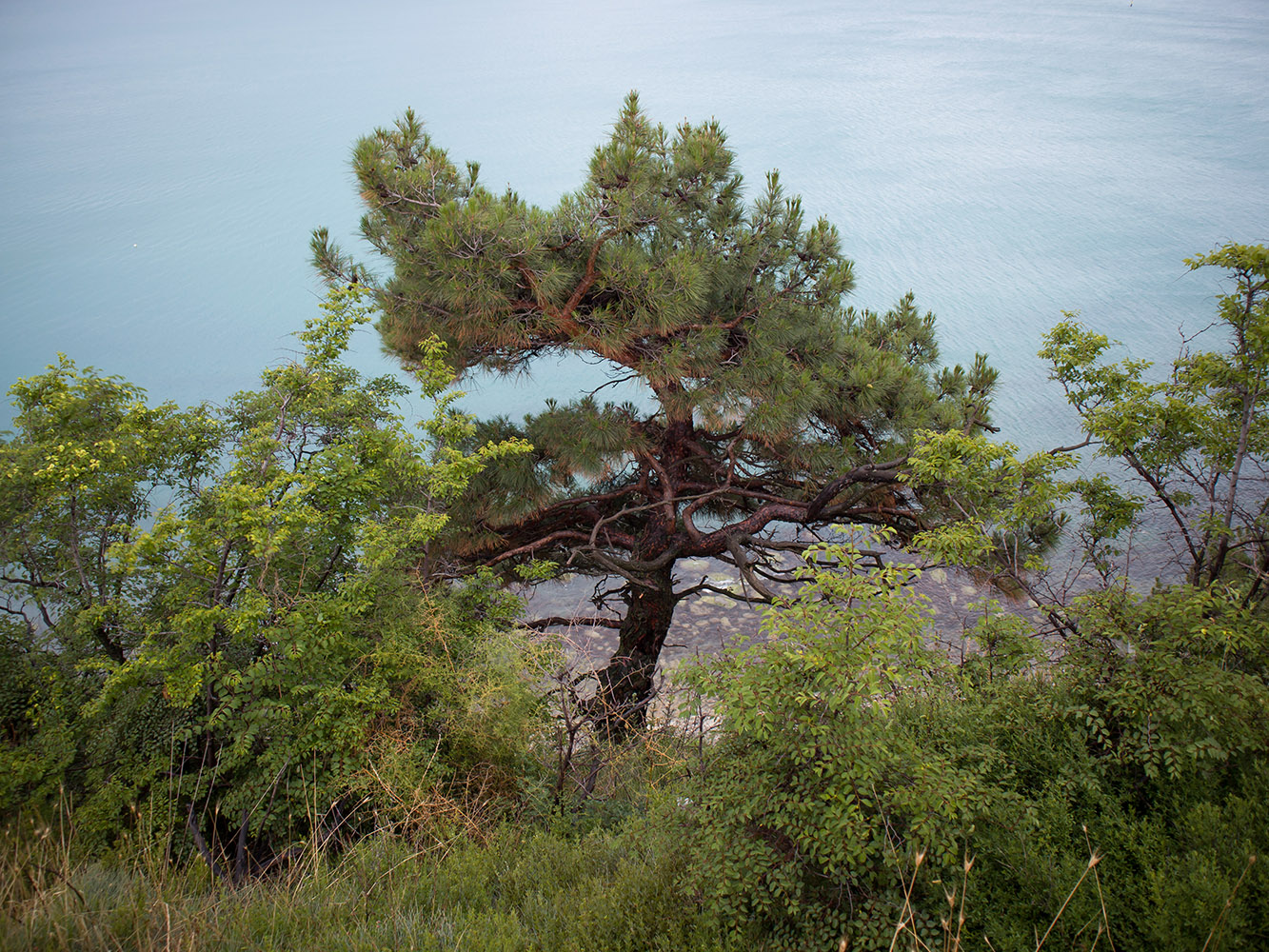 Берег моря у мыса Пенай, image of landscape/habitat.