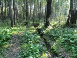 Родник Живой и Мёртвой воды, image of landscape/habitat.