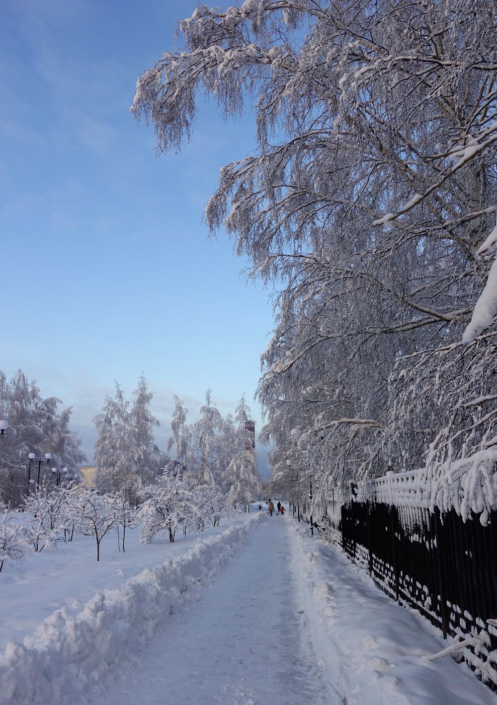 Электрогорск и его окрестности, изображение ландшафта.