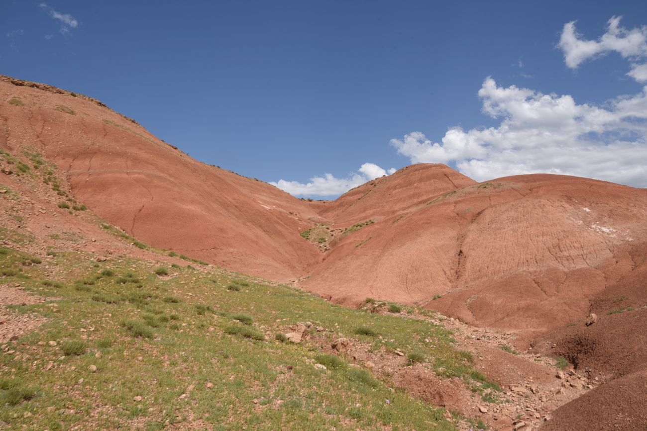 Урочище Кызыл-Кая, image of landscape/habitat.