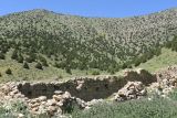 Image of landscape