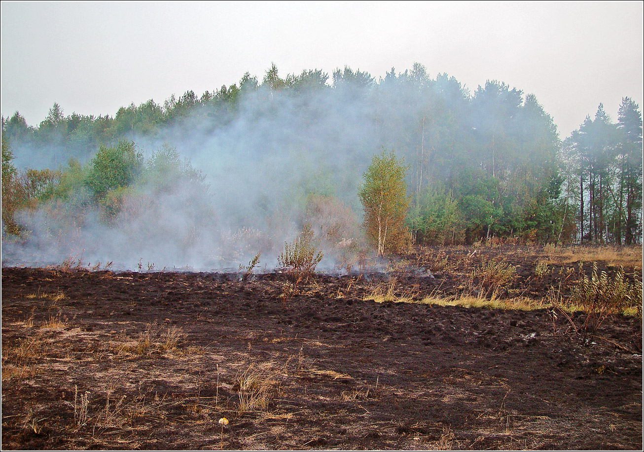 Окрестности Хрипани, image of landscape/habitat.