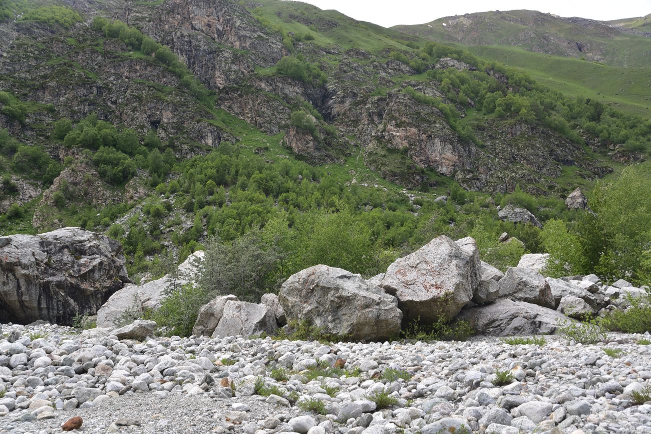 Улыбка Шхельды, изображение ландшафта.