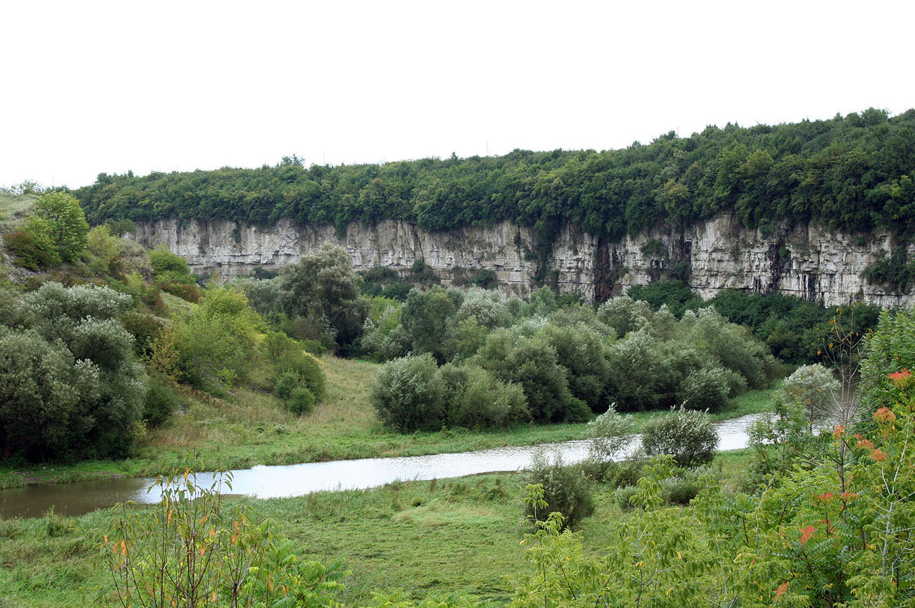 Каньон реки Смотрич, image of landscape/habitat.