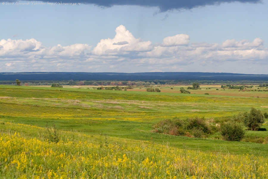 Елховка, image of landscape/habitat.