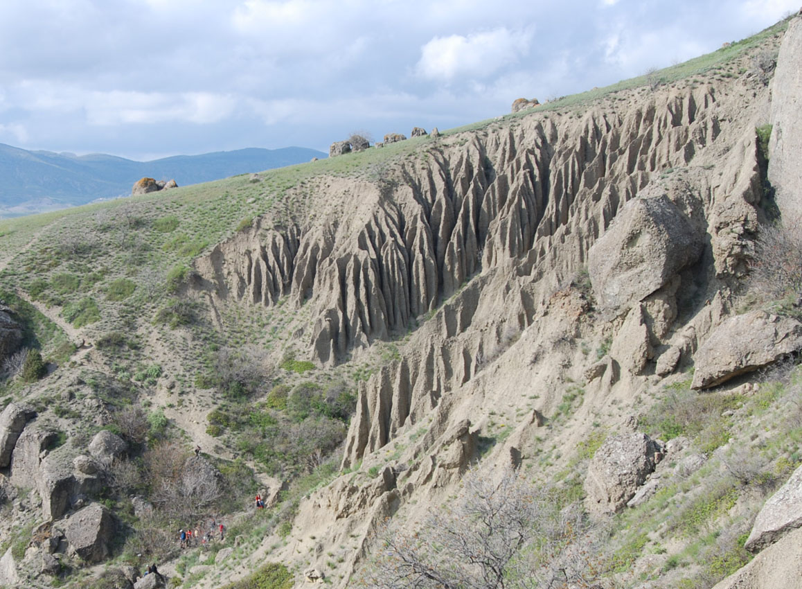 Меганом, image of landscape/habitat.