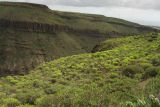 Image of landscape