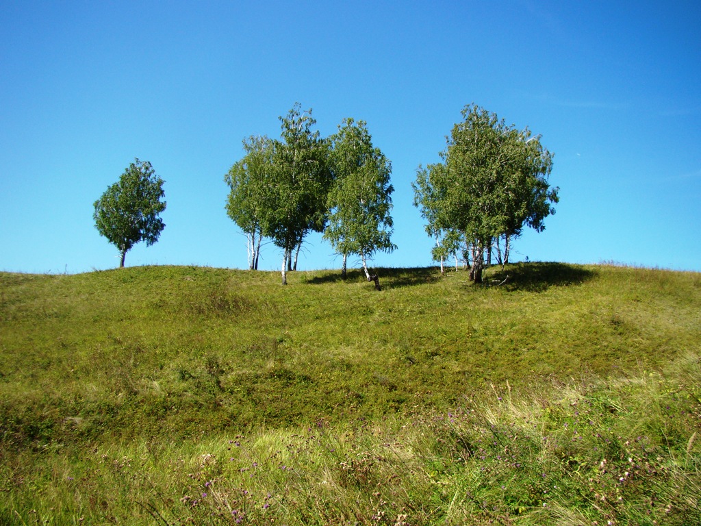 Первомайское, image of landscape/habitat.