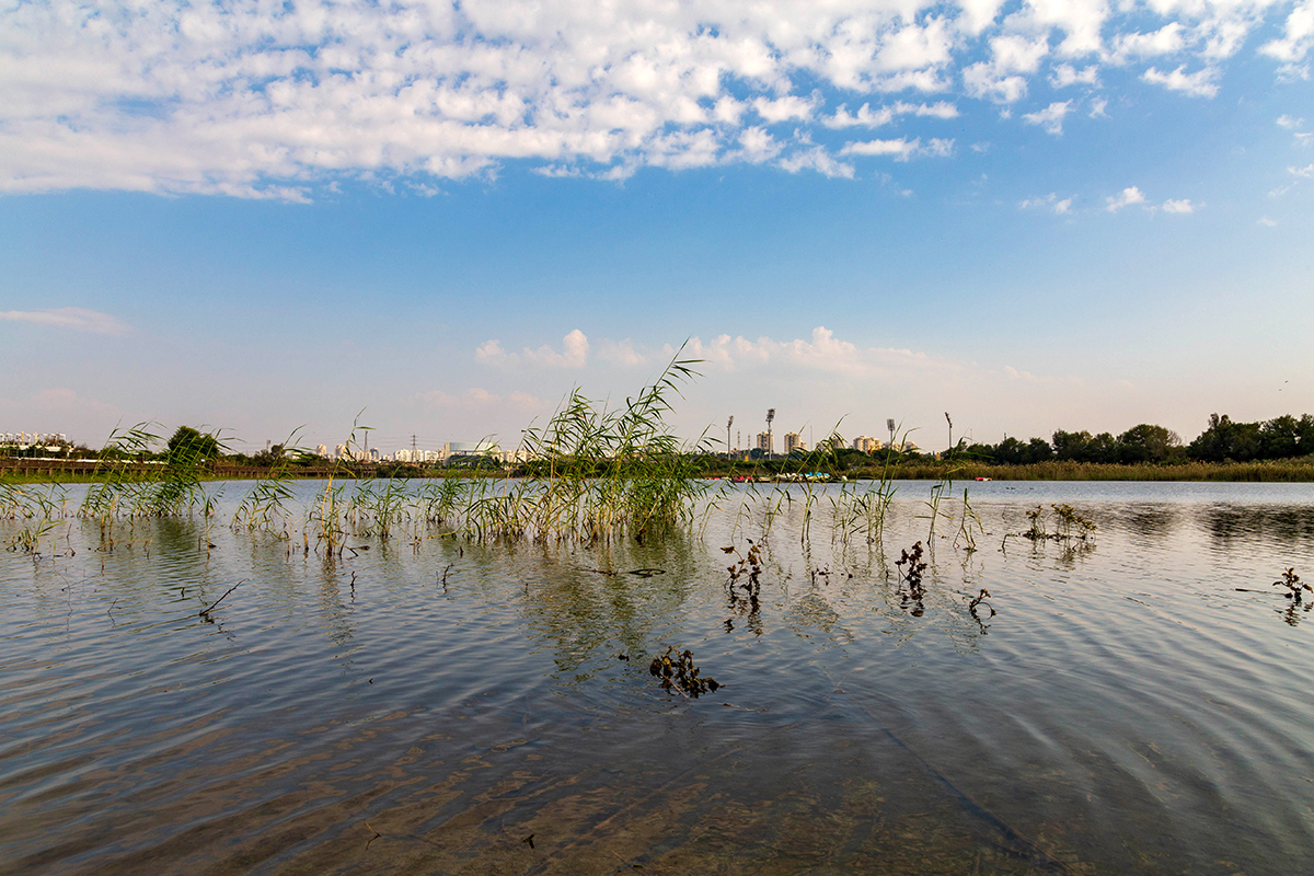 Ришон-ле-Цион и окрестности, image of landscape/habitat.