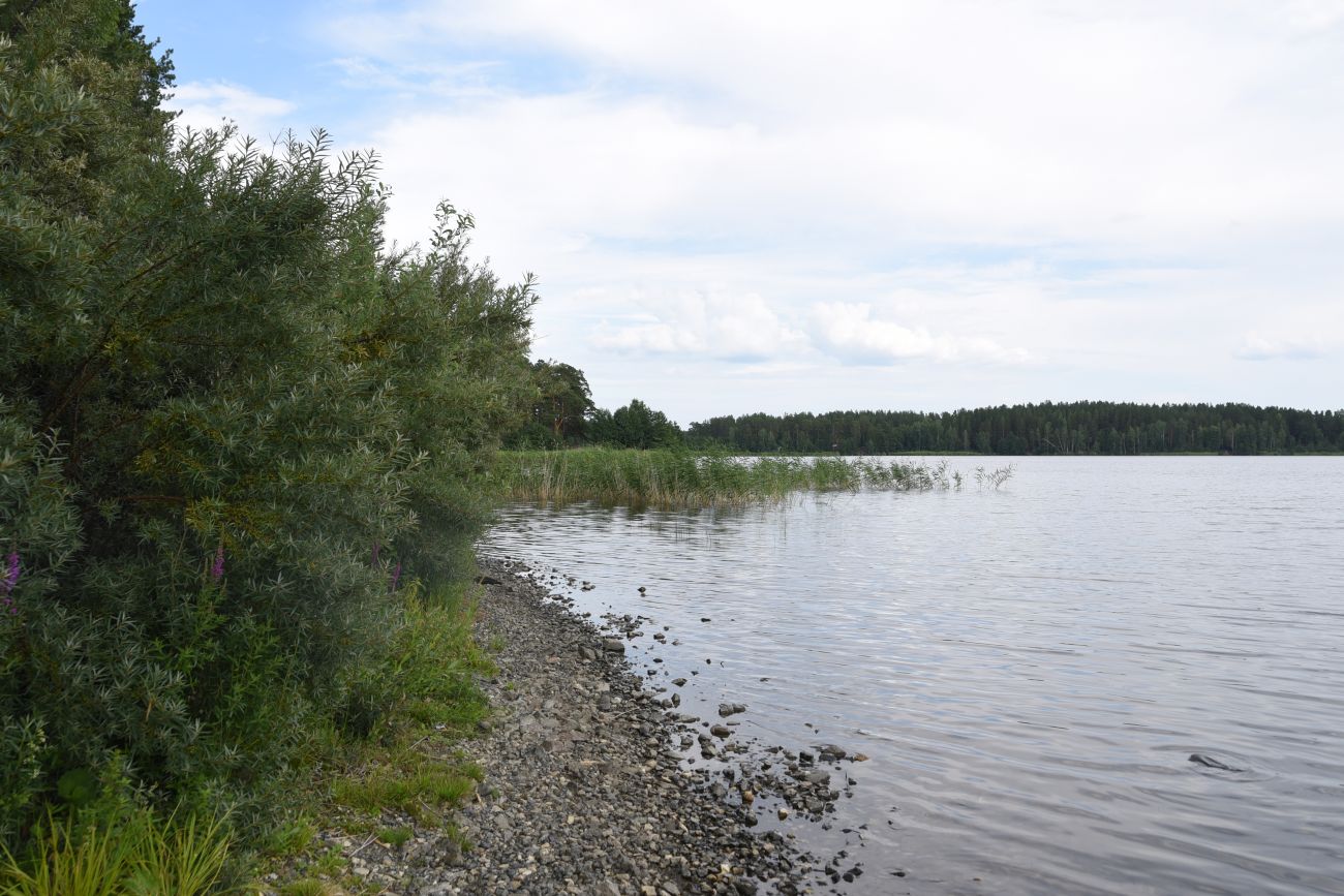 Озеро Сугомак, image of landscape/habitat.