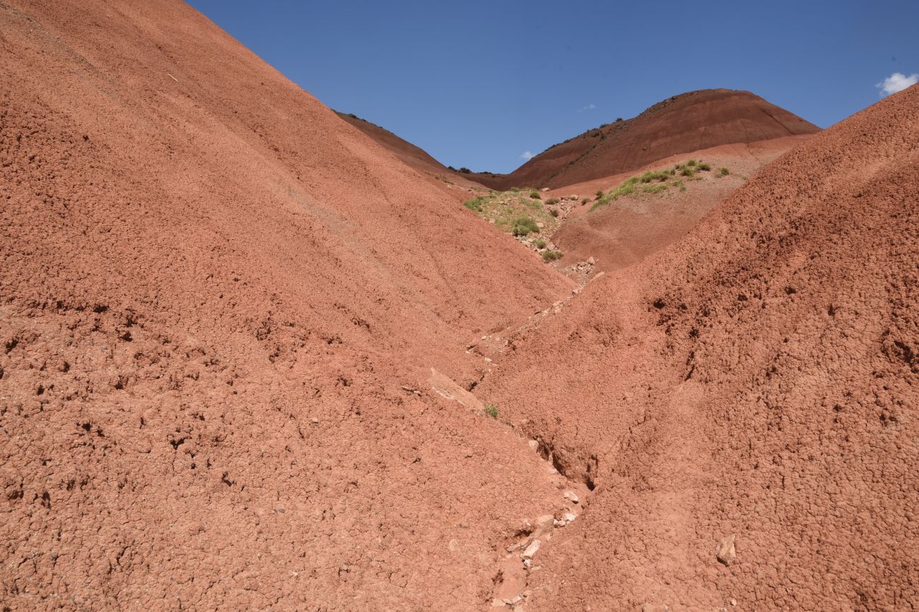 Урочище Кызыл-Кая, image of landscape/habitat.
