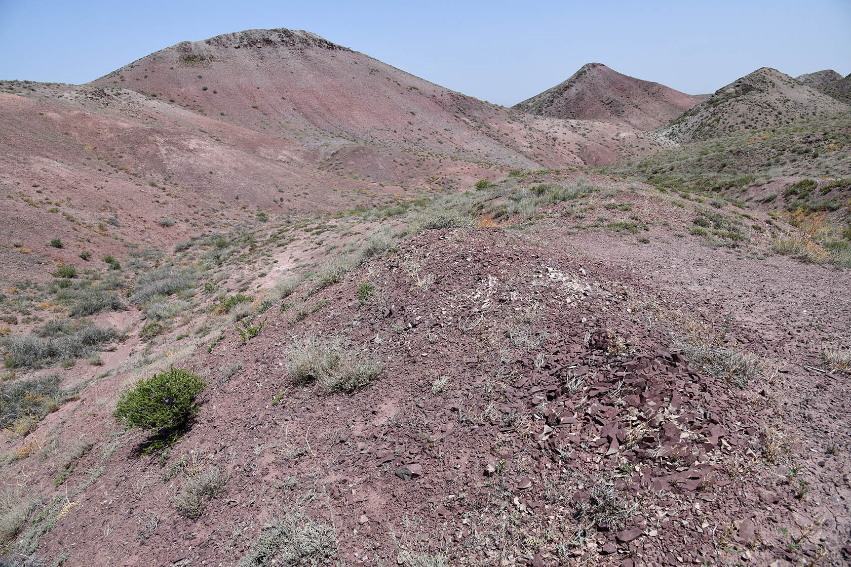 Бала-Богуты, image of landscape/habitat.