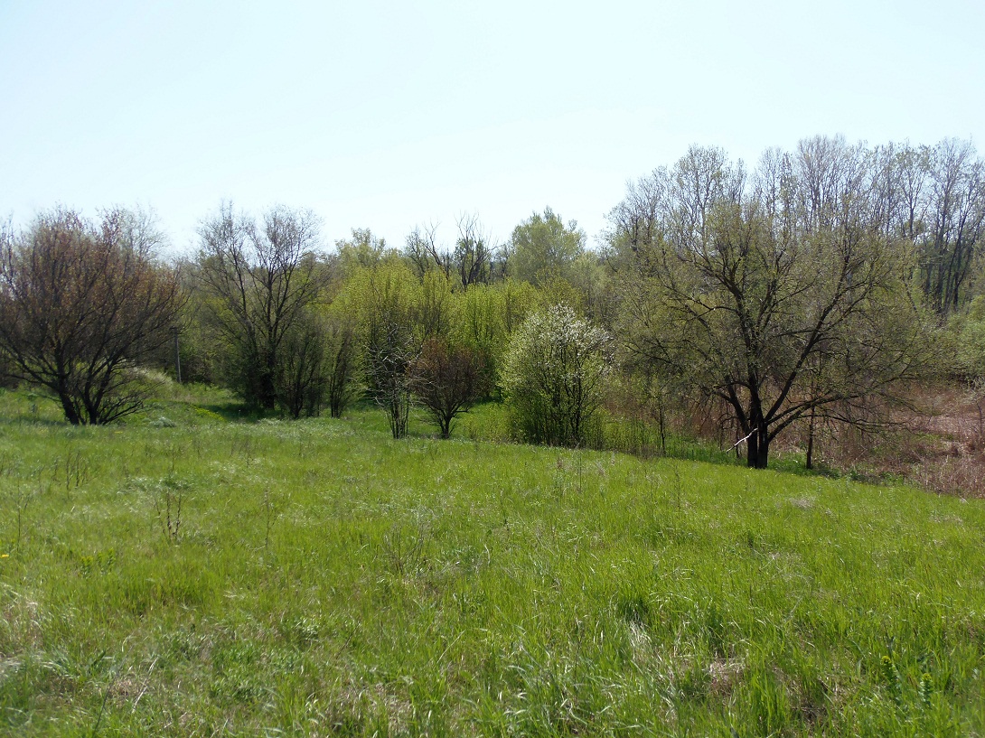 Безымянная балка, image of landscape/habitat.