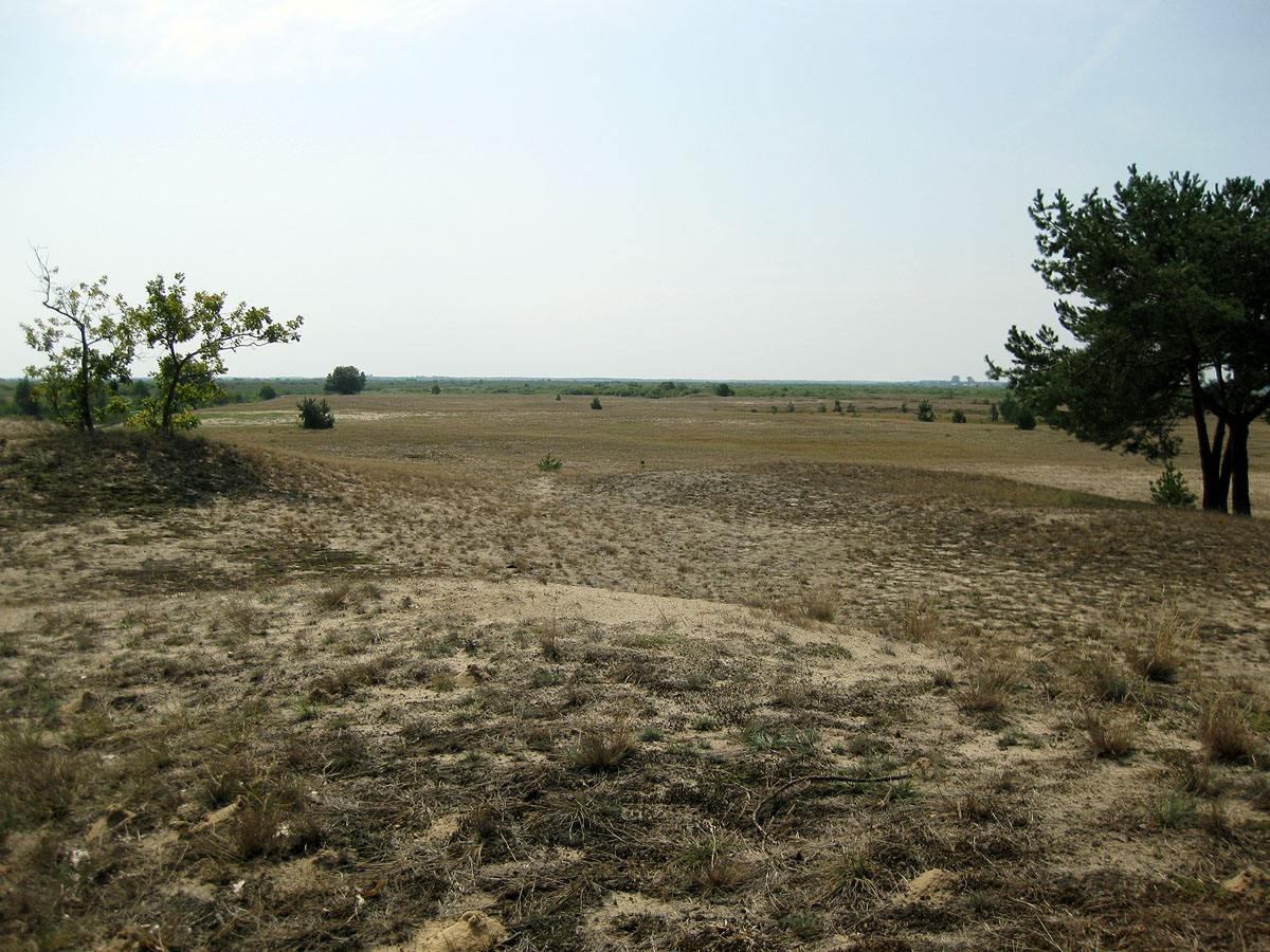 Озеро Святое, image of landscape/habitat.