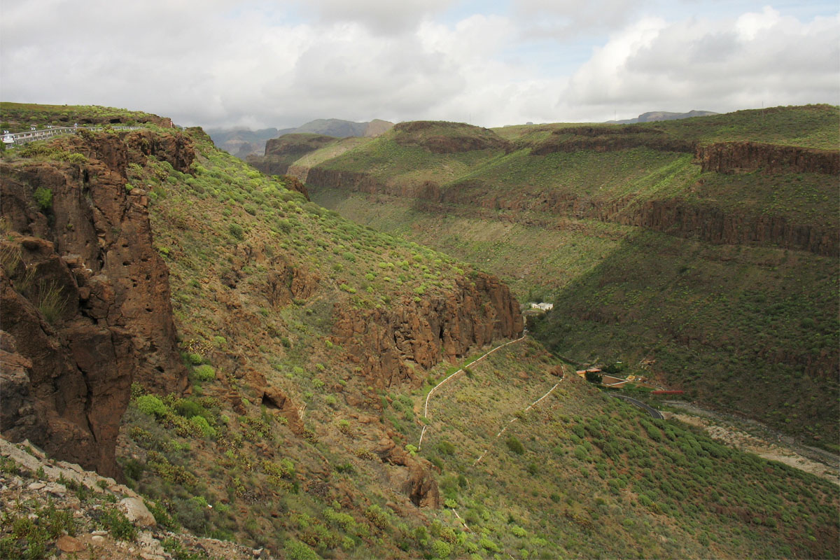 Ущелья к северу от Маспаломаса, image of landscape/habitat.