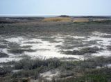 Image of landscape