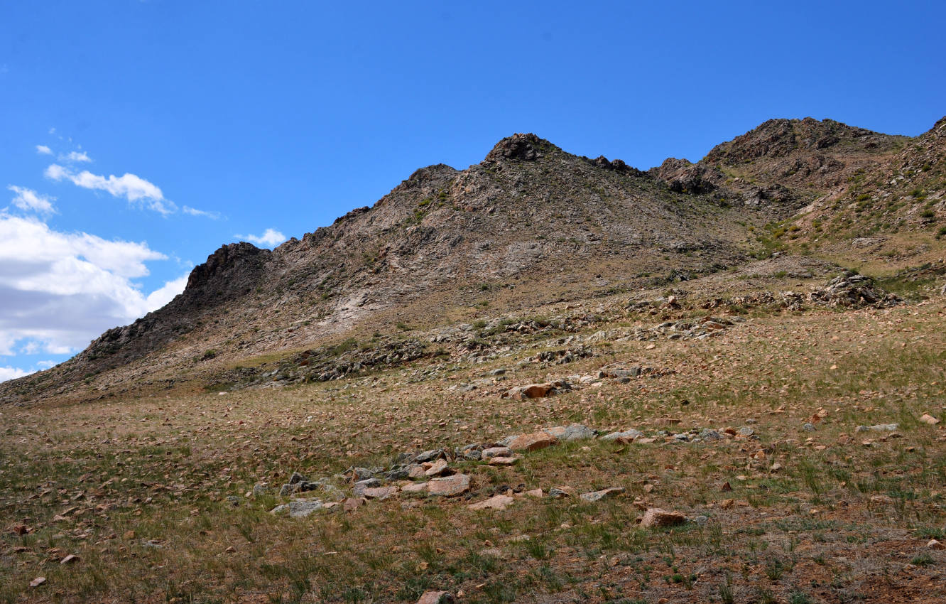 Окрестности поселка Сантмаргац, image of landscape/habitat.