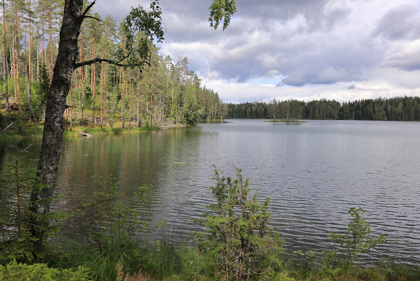 Окрестности Ихалы, image of landscape/habitat.