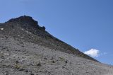 Image of landscape