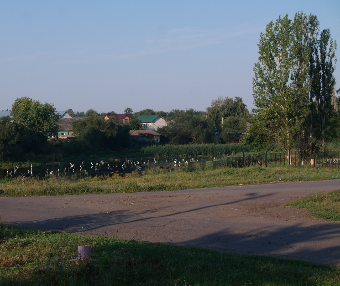 Тройня, image of landscape/habitat.