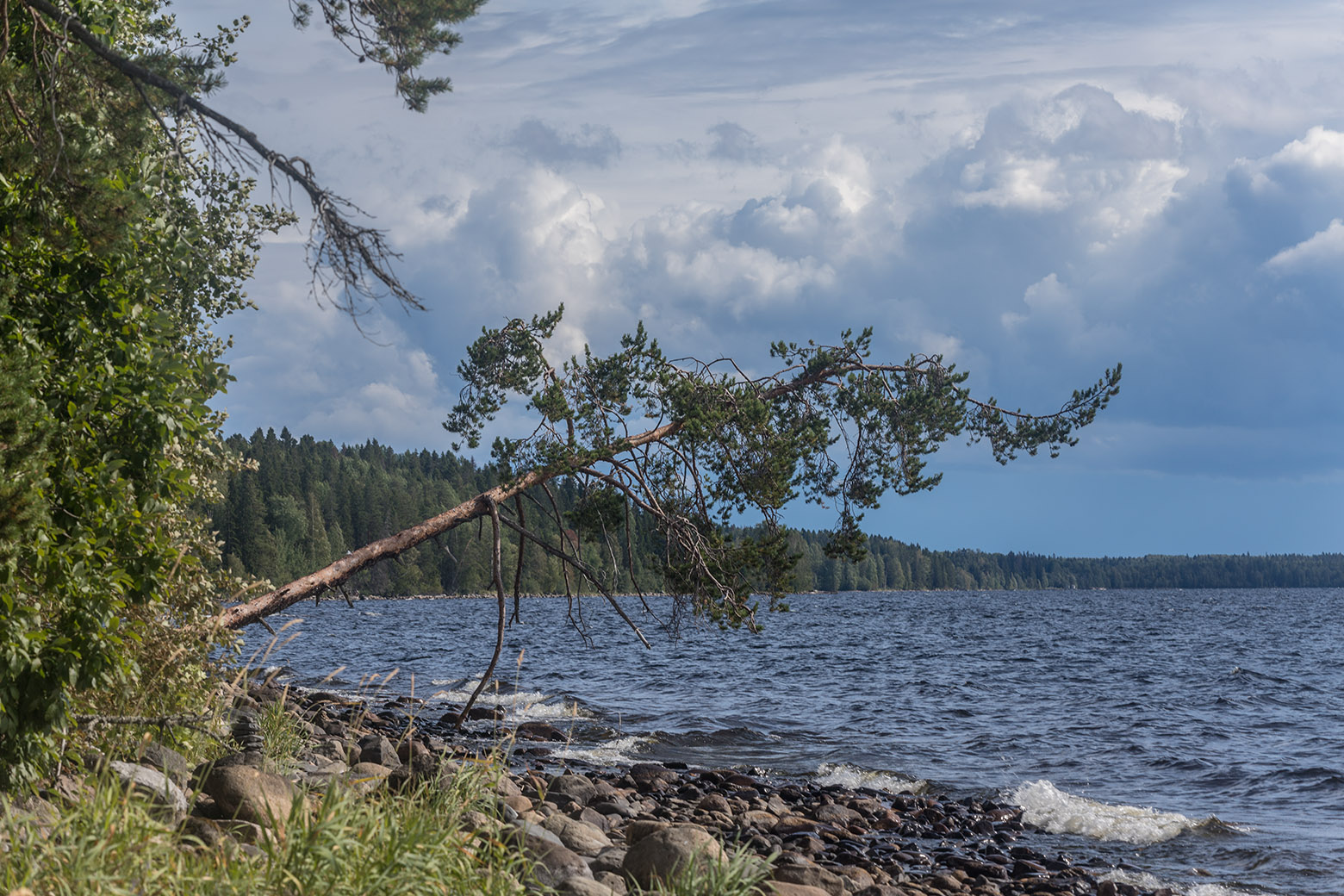 Заозёрский, image of landscape/habitat.