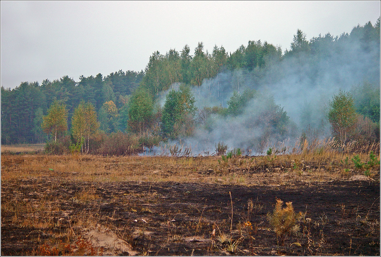 Окрестности Хрипани, image of landscape/habitat.