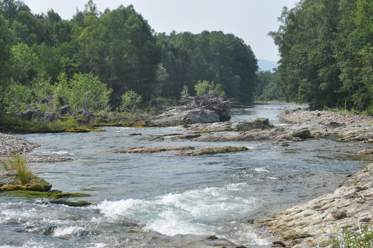 Долина реки Заболоченная, image of landscape/habitat.