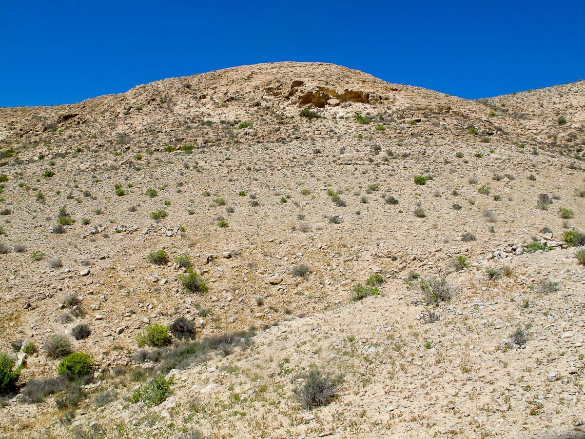 Негев, image of landscape/habitat.