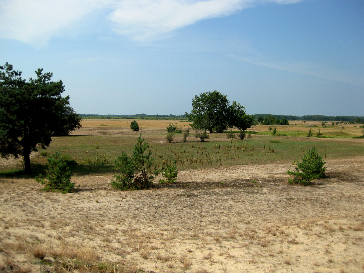 Озеро Святое, image of landscape/habitat.