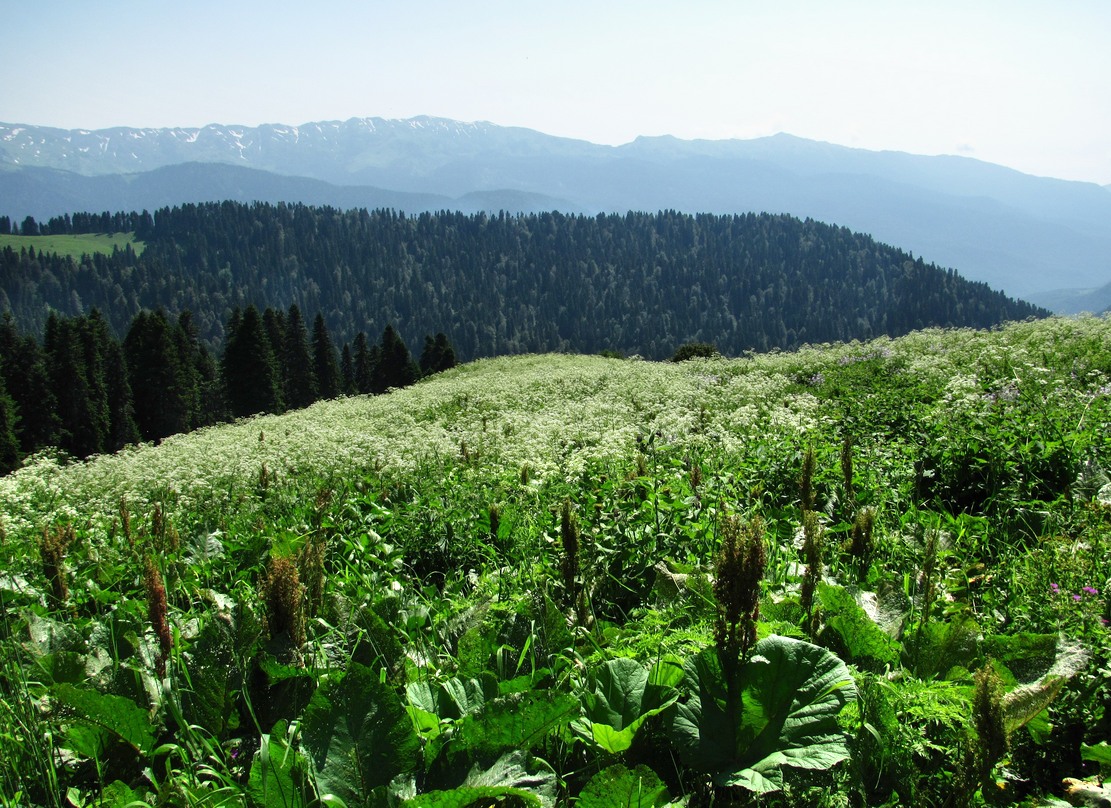 Хребет Аибга, изображение ландшафта.