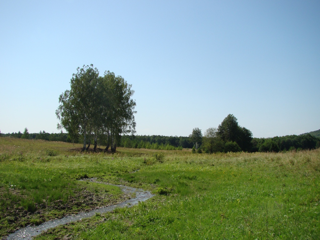 Первомайское, image of landscape/habitat.