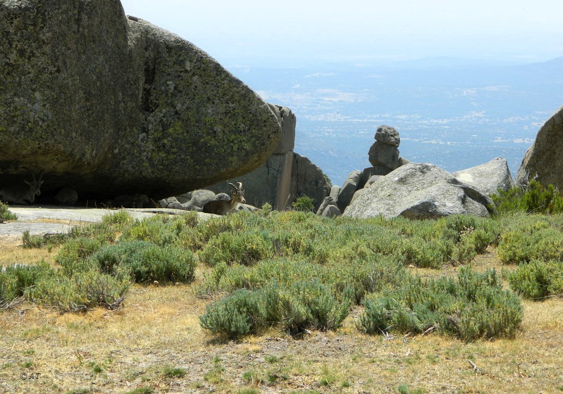 El Yelmo (Эль Ельмо), image of landscape/habitat.