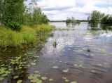 Чебоксарское водохранилище, изображение ландшафта.