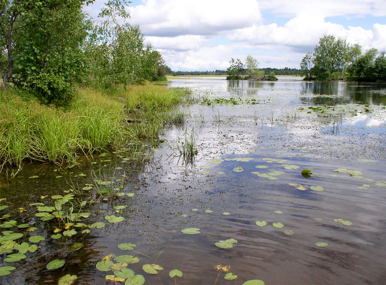 Чебоксарское водохранилище, изображение ландшафта.