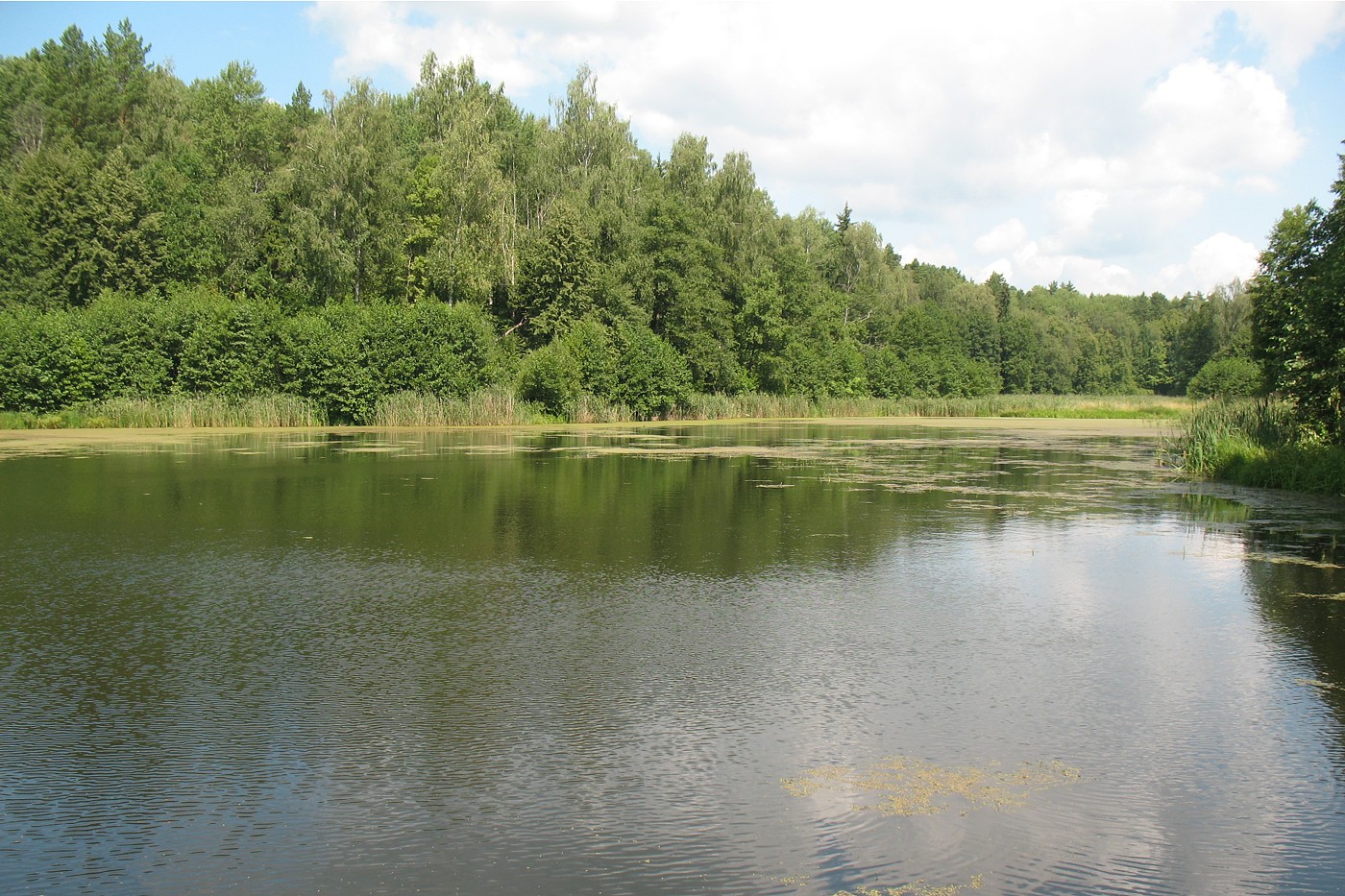 Приокско-Террасный заповедник, image of landscape/habitat.