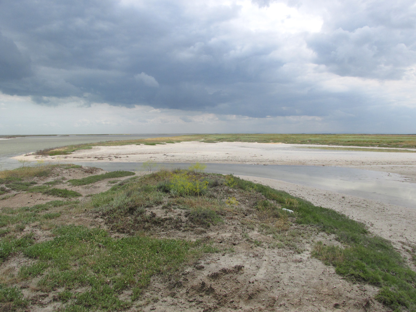 Заказник Присивашский, image of landscape/habitat.