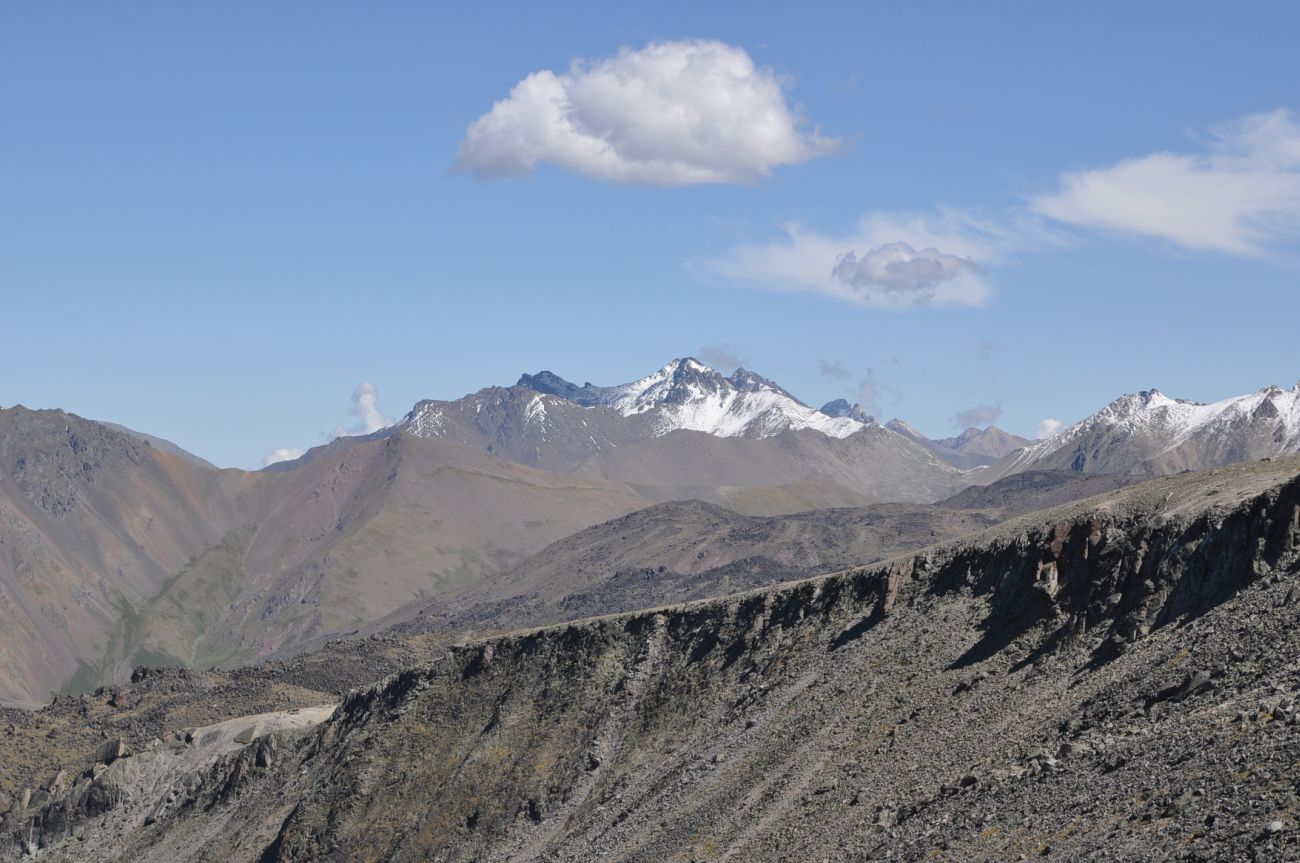 Урочище Каменные Грибы, image of landscape/habitat.